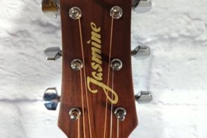 Unveiling the Jasmine by Takamine S35: Discoveries and Insights for Acoustic Guitarists - Master the Art of Playing Guitar and Play Like a Pro