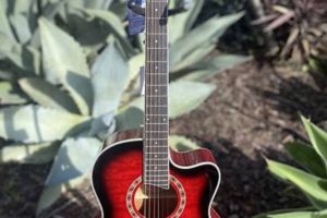 Uncover the Secrets of "Jay Turser Acoustic Electric Guitar": A Journey of Discovery - Master the Art of Playing Guitar and Play Like a Pro