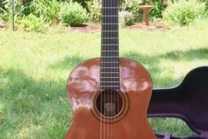 Unleash the Symphony: Discover the Guild Nylon String Guitar Master the Art of Playing Guitar and Play Like a Pro Unleash the Symphony: Discover the Guild Nylon String Guitar - Master the Art of Playing Guitar and Play Like a Pro