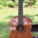 Unleash the Symphony: Discover the Guild Nylon String Guitar - Master the Art of Playing Guitar and Play Like a Pro