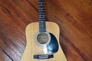 Unveil the Enchanting Realm of Lotus Guitar Acoustics: Discoveries and Insights Await - Master the Art of Playing Guitar and Play Like a Pro