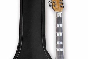 Unveil the Secrets: Uncover the Best Cheap 12-String Guitars Master the Art of Playing Guitar and Play Like a Pro Unveil the Secrets: Uncover the Best Cheap 12-String Guitars - Master the Art of Playing Guitar and Play Like a Pro
