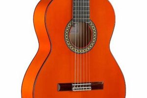 Flamenco Guitar Acoustic Master the Art of Playing Guitar and Play Like a Pro Flamenco Guitar Acoustic - Master the Art of Playing Guitar and Play Like a Pro