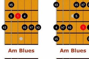 Ignite Your Blues Journey: Discover the Secrets of Guitar Chords Master the Art of Playing Guitar and Play Like a Pro Ignite Your Blues Journey: Discover the Secrets of Guitar Chords - Master the Art of Playing Guitar and Play Like a Pro