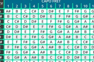 Unlock the Secrets of Capo Charts for Guitar Chords: A Journey to Musical Versatility - Master the Art of Playing Guitar and Play Like a Pro