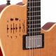 Unveil the Secrets of Godin Acoustic Guitars: A Journey of Discovery and Inspiration - Master the Art of Playing Guitar and Play Like a Pro