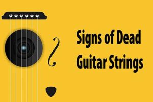 Unveiling the Secrets of Dead Guitar Strings: Discoveries and Insights - Master the Art of Playing Guitar and Play Like a Pro