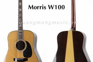 Unveil the Allure of "guitar acoustic morris": A Journey of Discovery and Sonic Delights - Master the Art of Playing Guitar and Play Like a Pro