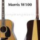 Unveil the Allure of "guitar acoustic morris": A Journey of Discovery and Sonic Delights - Master the Art of Playing Guitar and Play Like a Pro