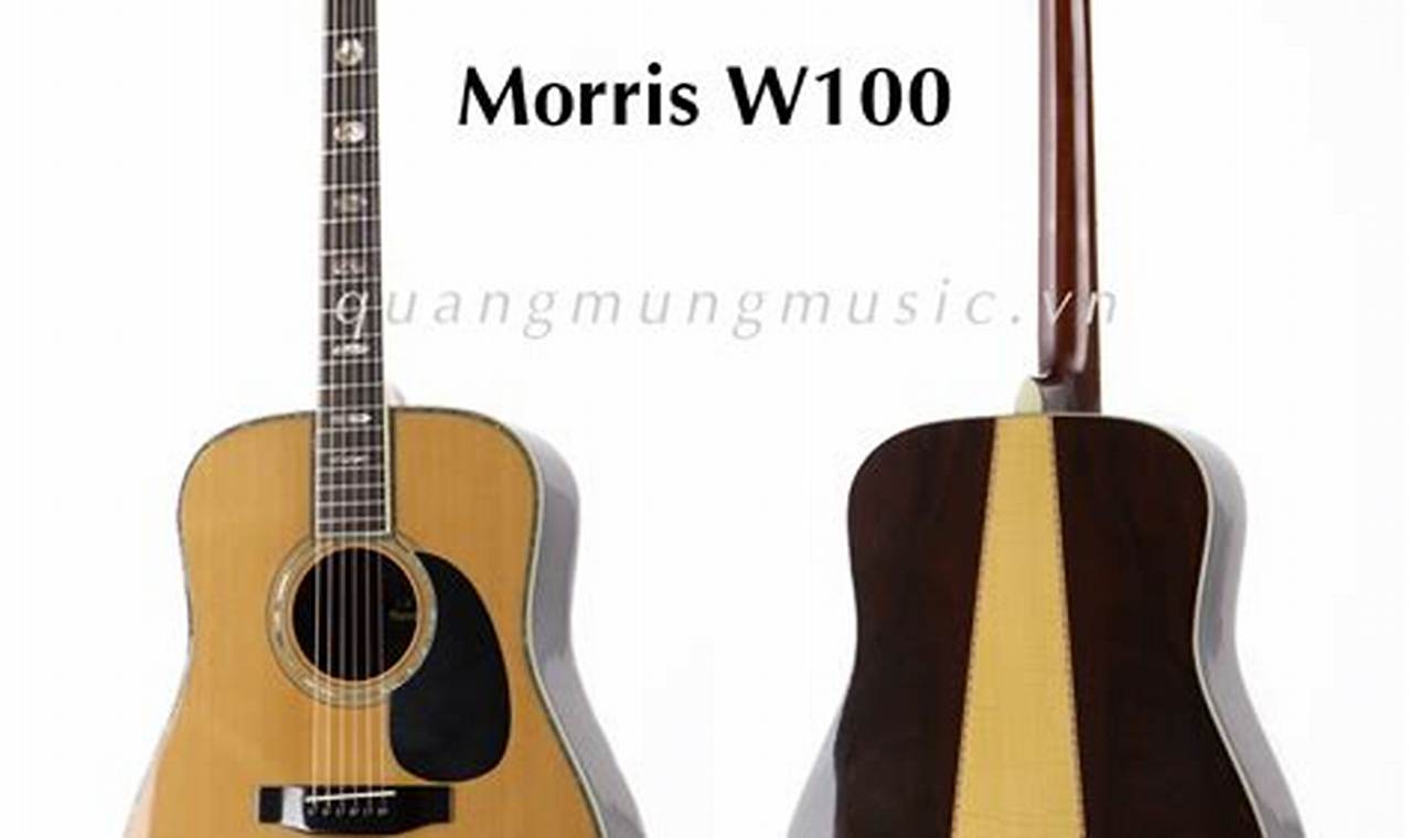 Unveil the Allure of "guitar acoustic morris": A Journey of Discovery and Sonic Delights - Master the Art of Playing Guitar and Play Like a Pro