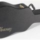 Unveiling the Ultimate Guide to "Guitar Case Ibanez Acoustic": Discover Protection, Style, and More! - Master the Art of Playing Guitar and Play Like a Pro