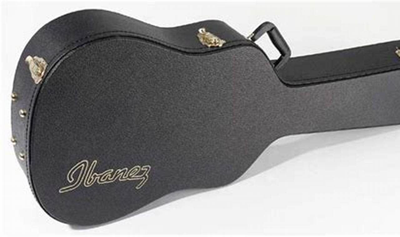 Unveiling the Ultimate Guide to "Guitar Case Ibanez Acoustic": Discover Protection, Style, and More! - Master the Art of Playing Guitar and Play Like a Pro