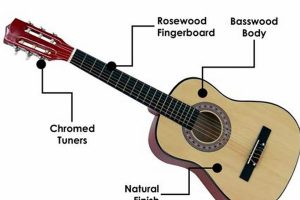 Unveiling the World of Half Size Acoustic Guitars: Discover Unmatched Comfort and Playability - Master the Art of Playing Guitar and Play Like a Pro