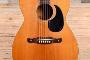 Unveiling the Harmony Acoustic Guitar: Value beyond Compare - Master the Art of Playing Guitar and Play Like a Pro