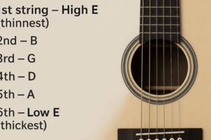 Unlock the Secrets: Discovering the Perfect Number of Strings for Your Acoustic Guitar - Master the Art of Playing Guitar and Play Like a Pro